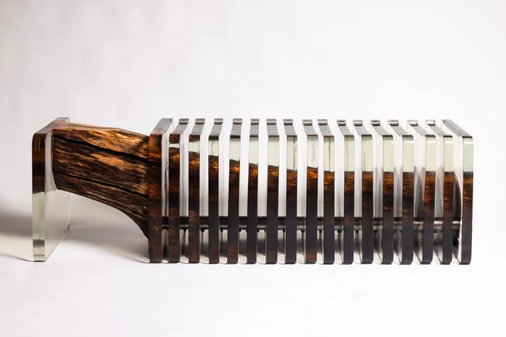 Петото измерение – Калоян Василев. Фото: Архив на автора