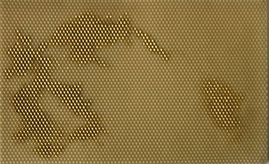 Изчезващ вид 2 – Rassim. Фото: Архив на автора